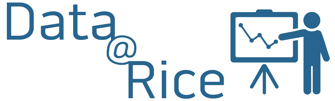 Data@Rice logo