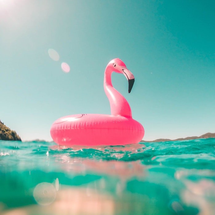 pink flamingo pool float in blue water
